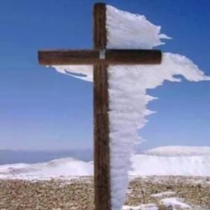 Meet your Posher, Joyce